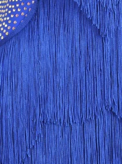 Robes De Danse Latine Bleu Royal Femmes Robe À Franges Costume De Danse
