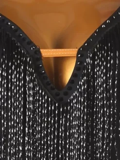 Robes de danse latine noir femmes Lycra Spandex robe Sexy frange danseuse latine vêtements de danse