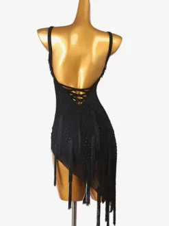 Robes de danse latine noir femmes Lycra Spandex robe Sexy frange danseuse latine vêtements de danse