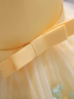 Robes de demoiselle d'honneur blanches robes d'occasion spéciale dentelle jaune sans manches col bijou robes de demoiselle d'honneur