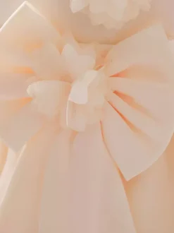 Robes de fille de fleur blanche Champagne Tulle sans manches bijou cou robes de fille de fleur