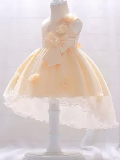 Robes de fille de fleur blanche Champagne Tulle sans manches bijou cou robes de fille de fleur