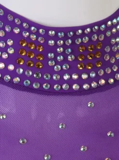 Salle de bal Costumes de danse Lycra Purple femmes Spandex Set robe de danse