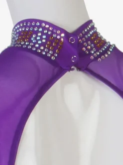 Salle de bal Costumes de danse Lycra Purple femmes Spandex Set robe de danse