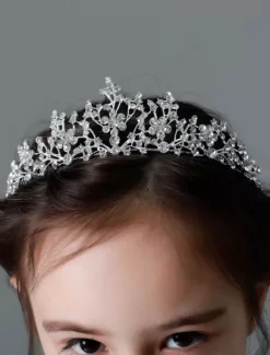 Serre-tête de fille de fleur courrone de fille