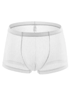 Slip Homme Polyester Transparent Solide