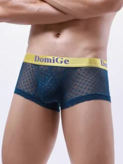 Slip Sous-Vêtement Athlétique Pour Homme En Nylon Transparent