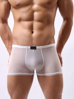 Sous-vêtement Lingerie Sexy Homme Culottes Elastique Transparentes Unicolore Blanc Sexy