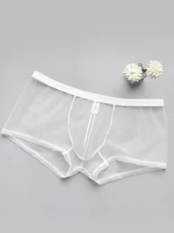 Sous-vêtements Lingerie Homme Lingerie Homme Sexy Culotte Transparente Ture Rouge Lingerie